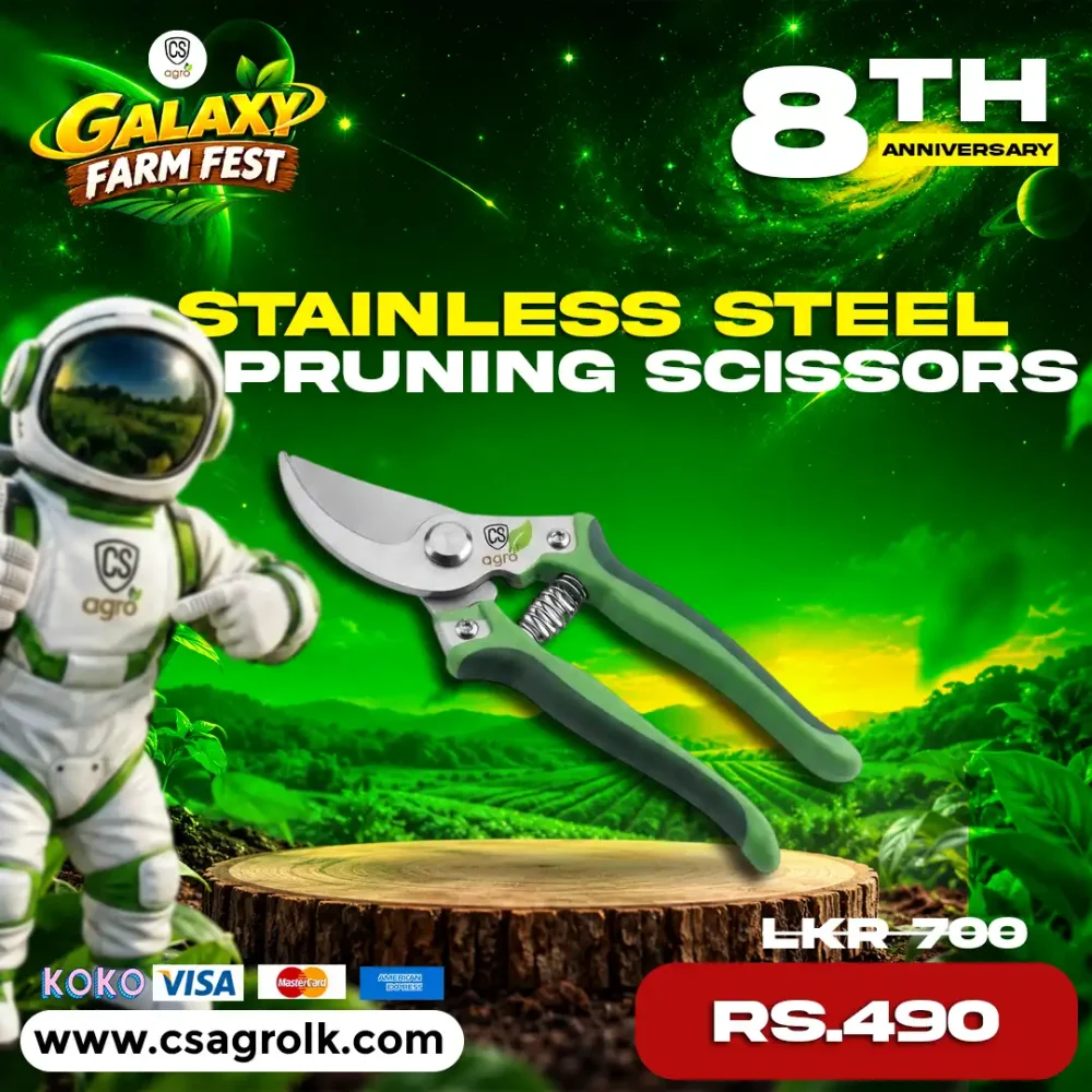 Garden Stainless Steel Pruning Scissors Secateurs Shears