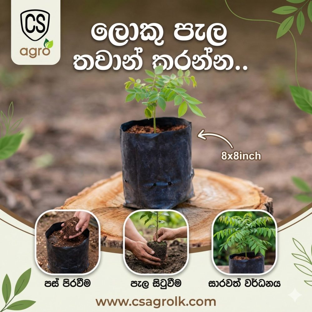 Grow Bags 8x8 Planting Bag