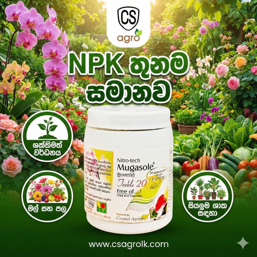 Mugasole Treble 20 NPK Balance Fertilizer 20:20:20 Loose