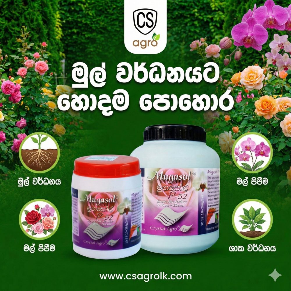 Mugasole P52 Fertilizer NPK Root Growth