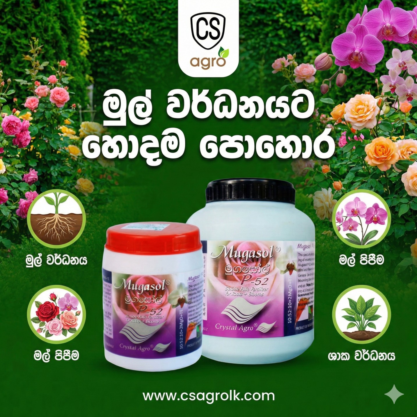 Mugasole P52 Fertilizer NPK Root Growth