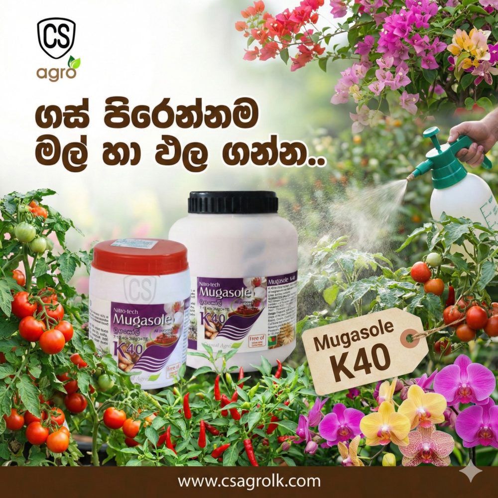 Mugasole K40 Fertilizer loose 1kg Fertigation