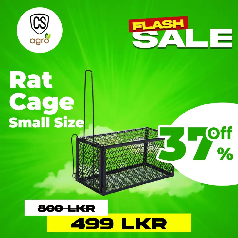 Rat Trap Cage