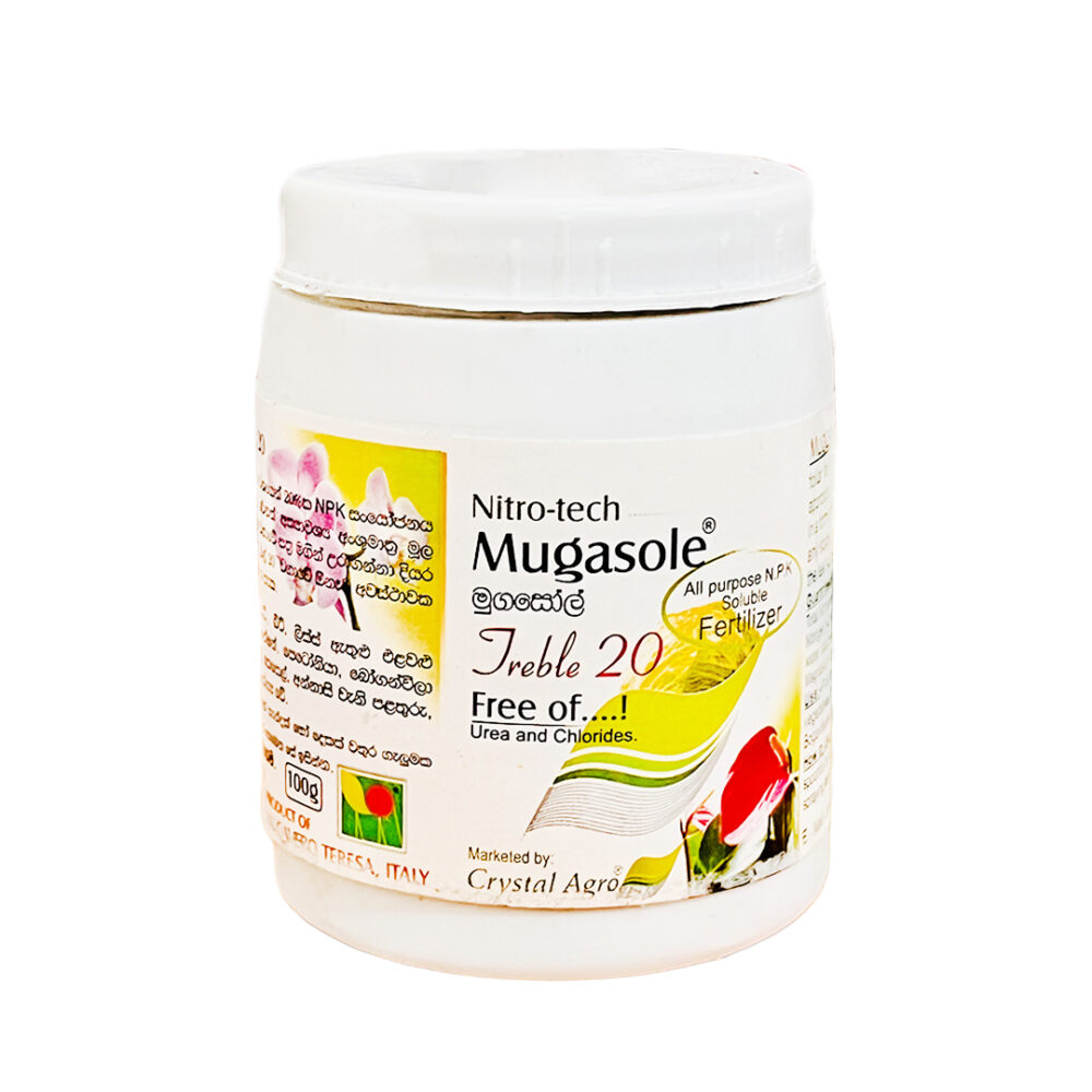 Mugasole Treble -20