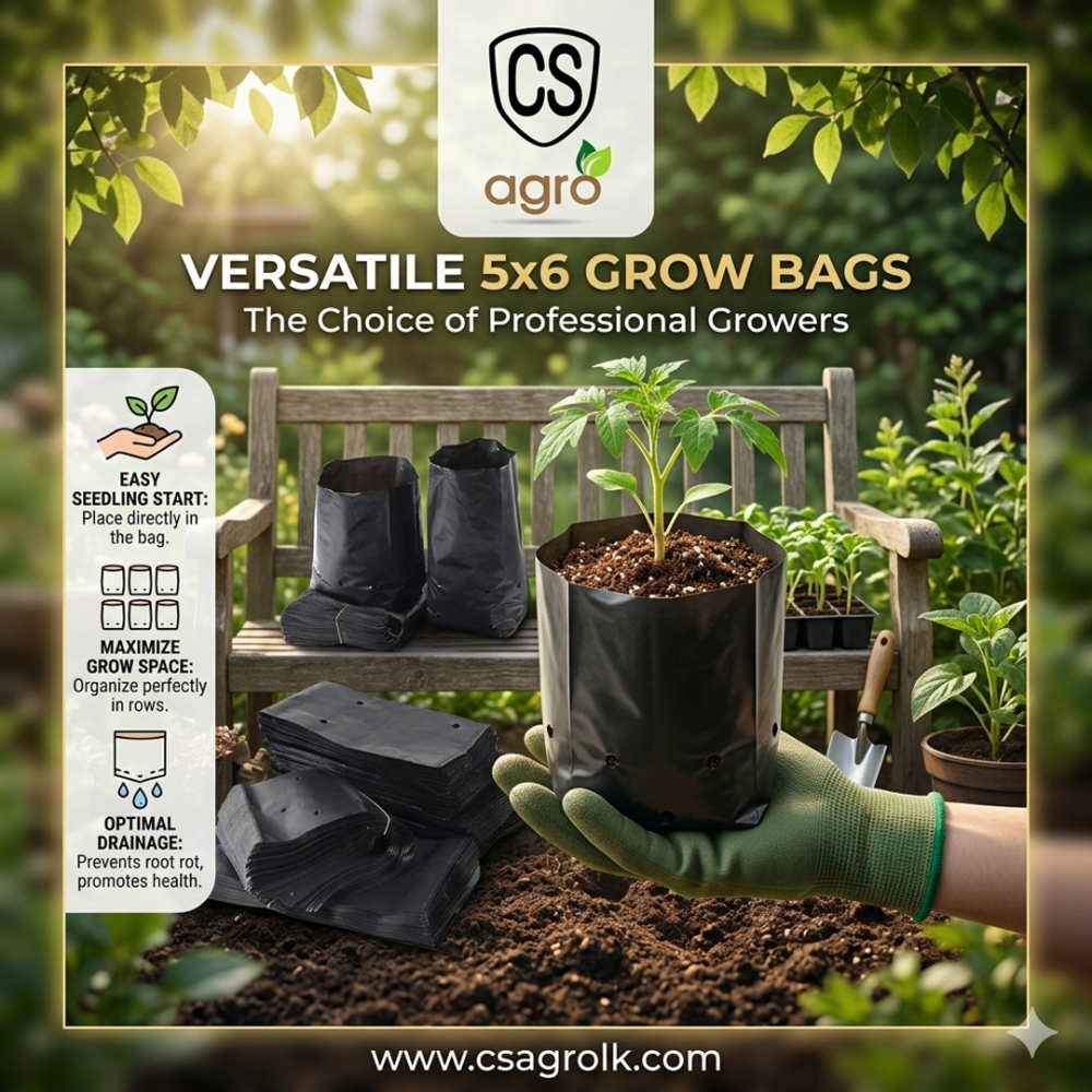 Grow Bags 5x6