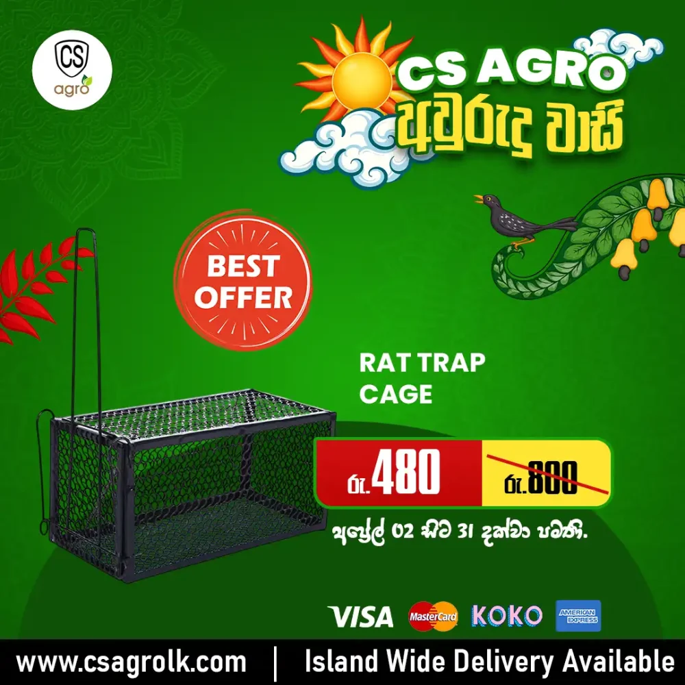 Rat Trap Cage