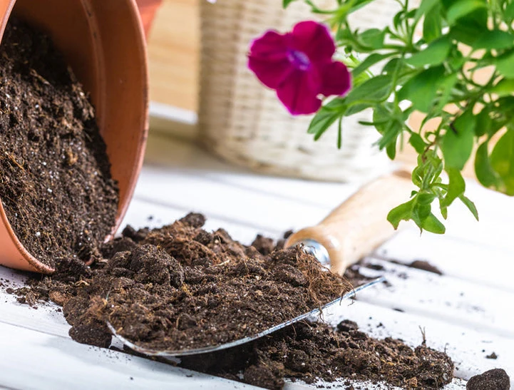 Potting Mixture බඳුන් මිශ්‍රණය Pot Mix Home Garden 100% Organic
