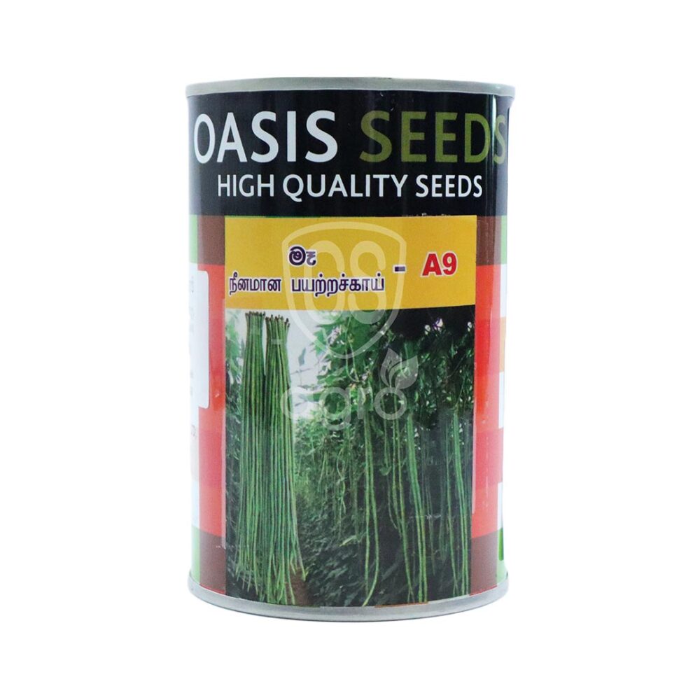 Oasis A9 Yard Long Beans