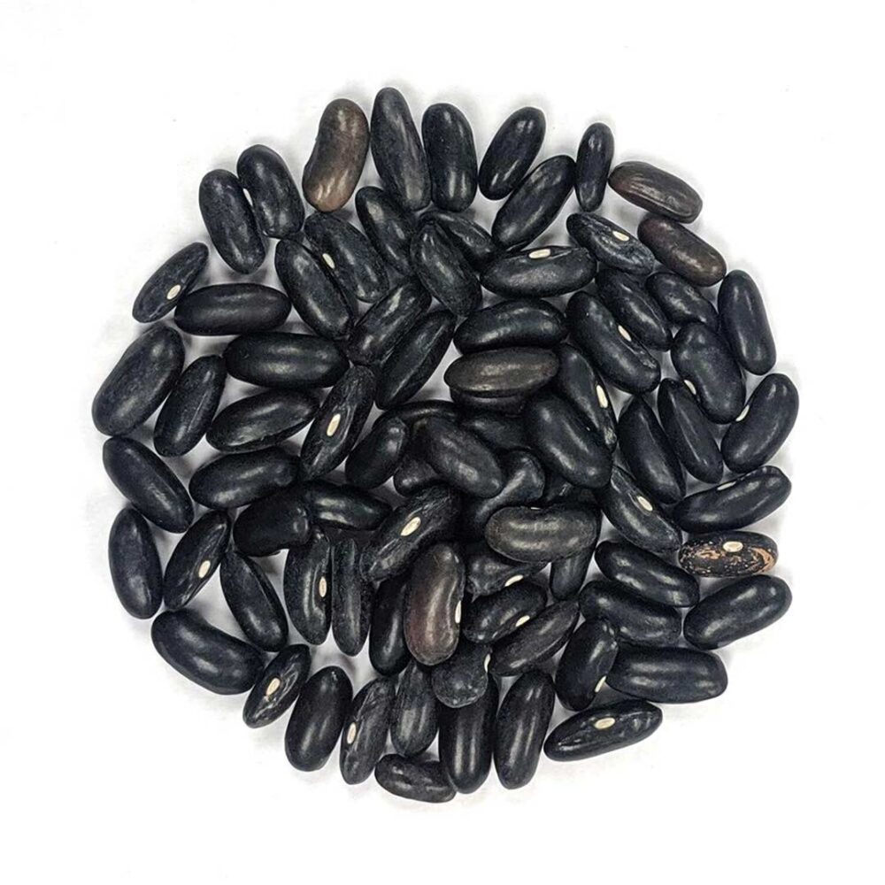 Bush Beans Seeds Loose - 10g