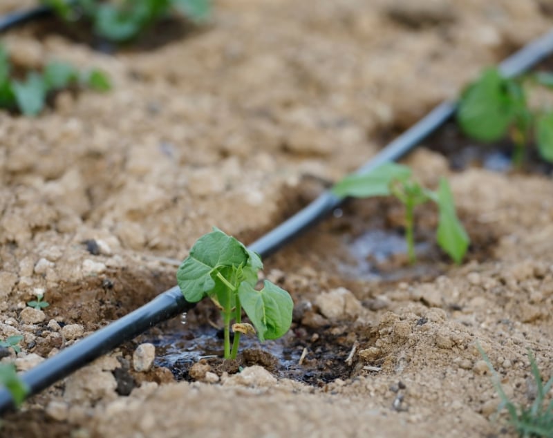 16mm Inline Dripper LDPE Pipe 200M - Image 3