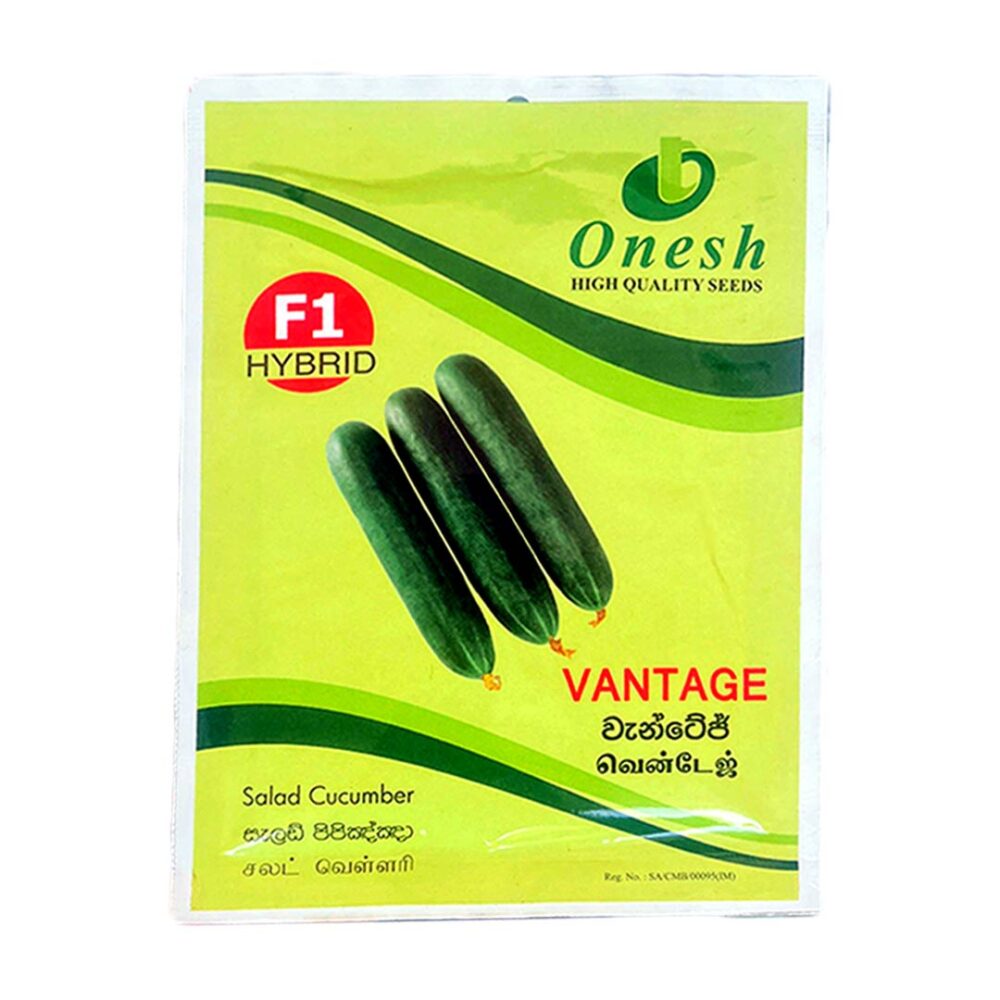 onesh vantage salad cucumber