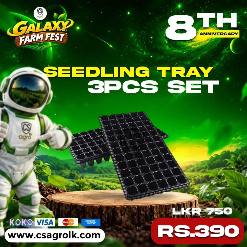 Seedling Tray 3pcs Set Seeds