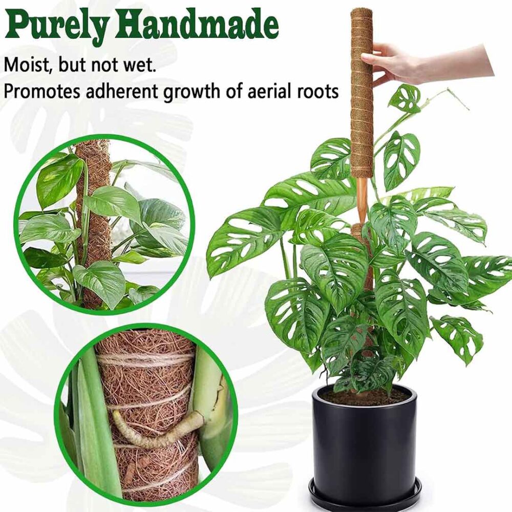 Coco Pole Moss Stick Plant Support 3Pcs