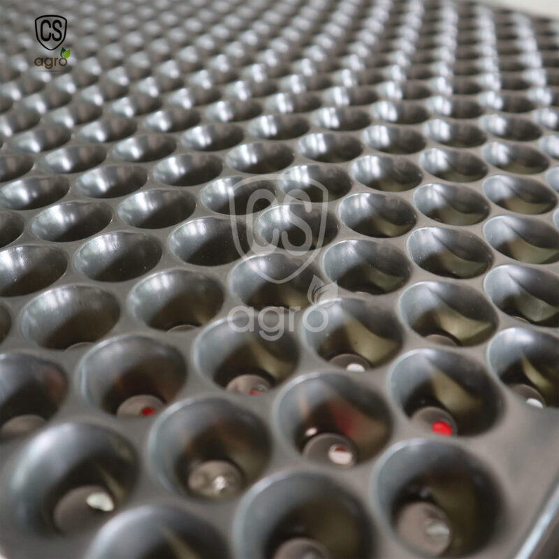 Paddy Seedling Tray 434 Holes CS Agro