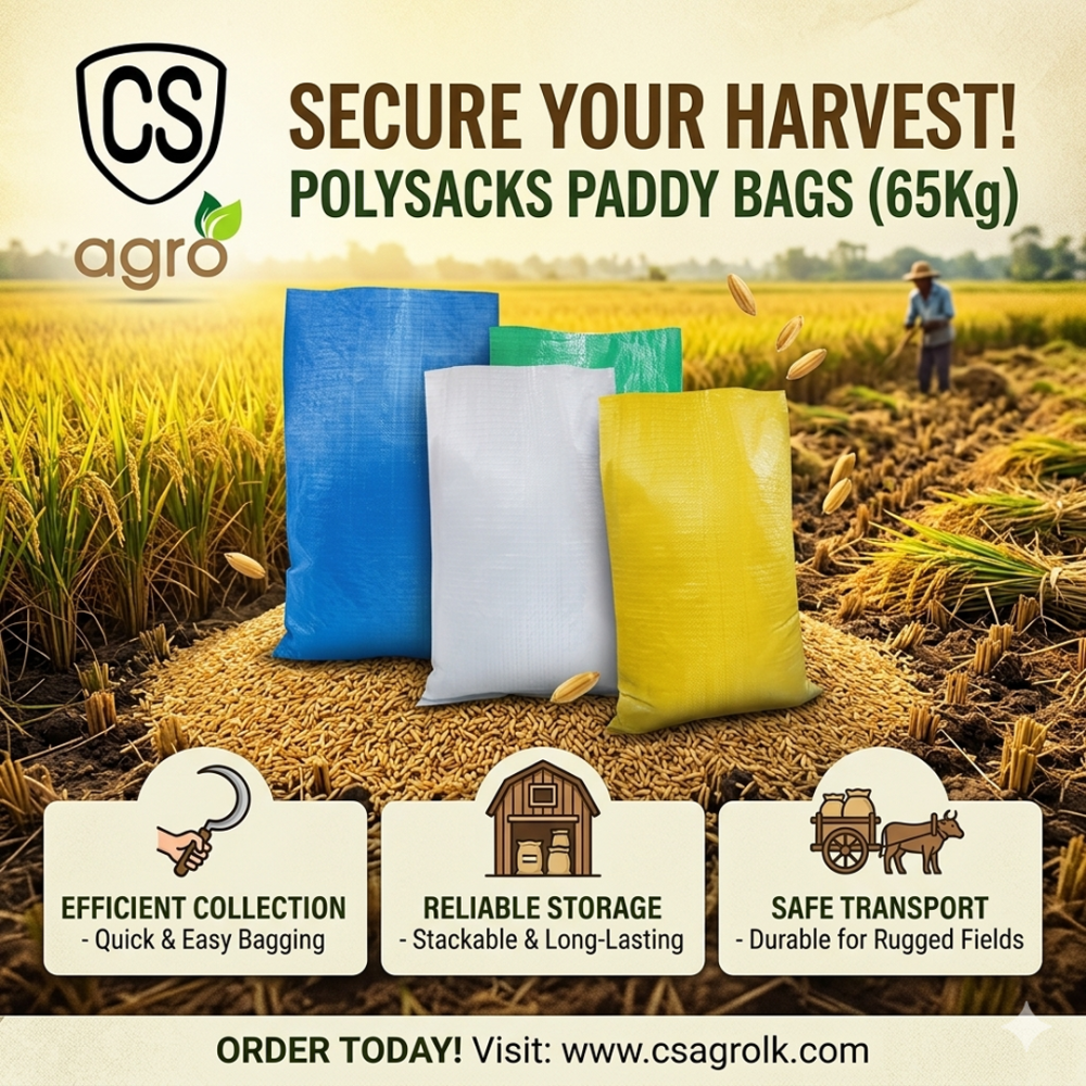 Polysacks Paddy Bags 65Kg