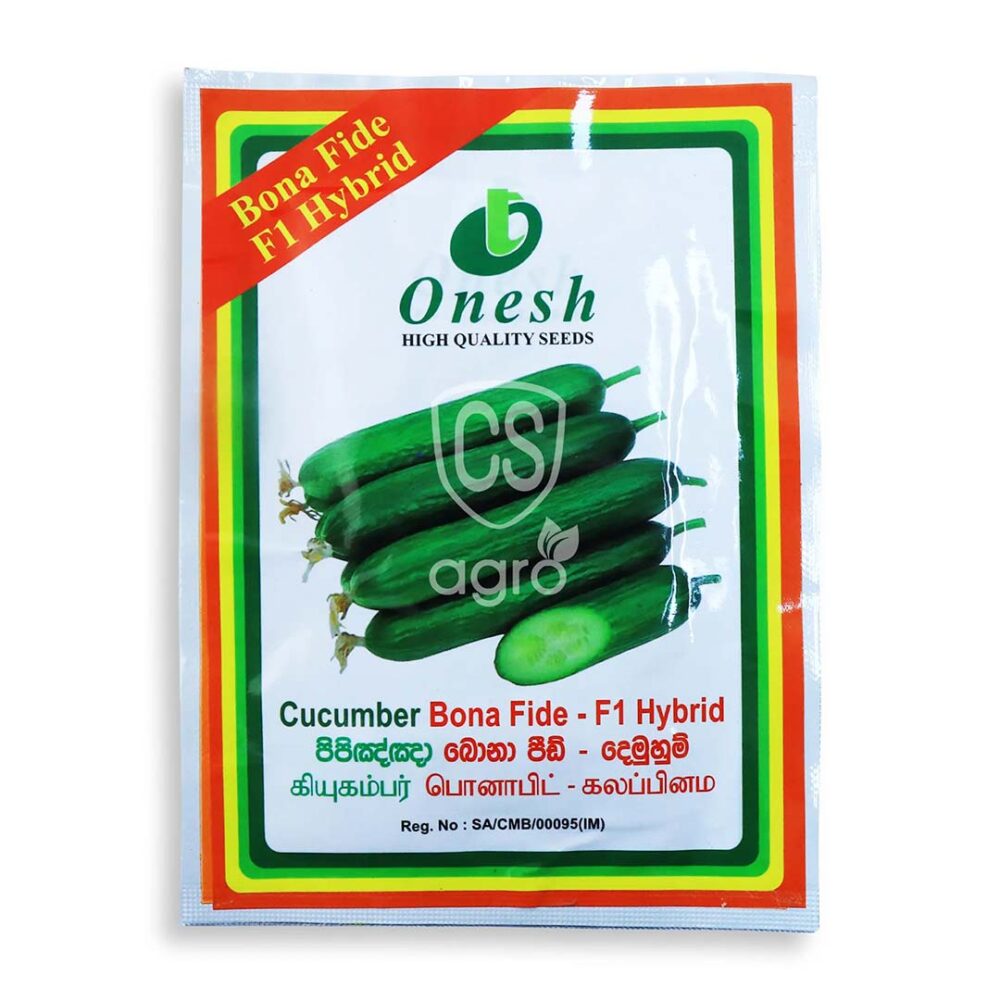 Bona Fide F1 Hybrid Gherkin Cucumber Seeds