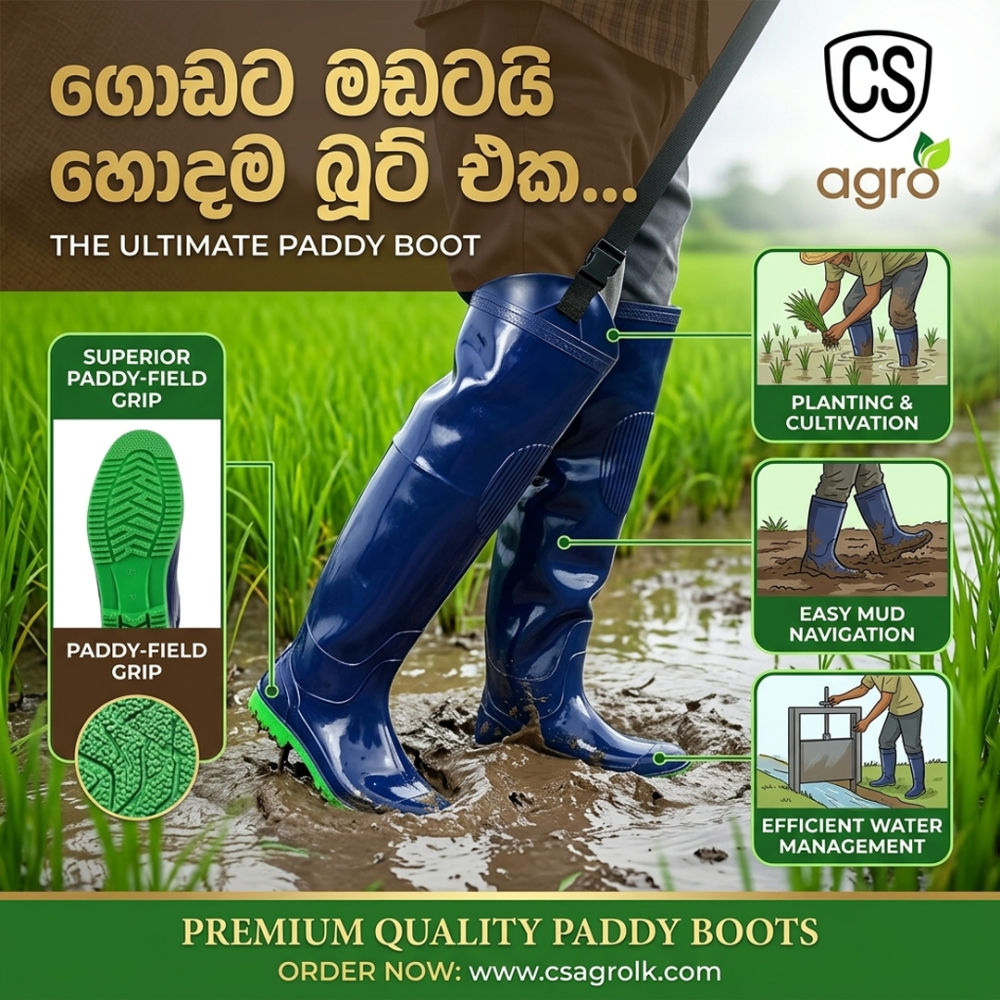 High Quality Paddy Boot Safety Shoes