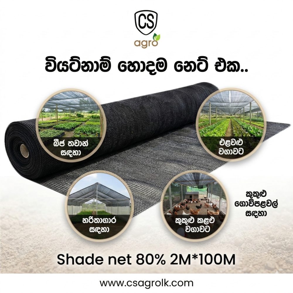 Shade Net Vietnam 80% 2M width Sun Block