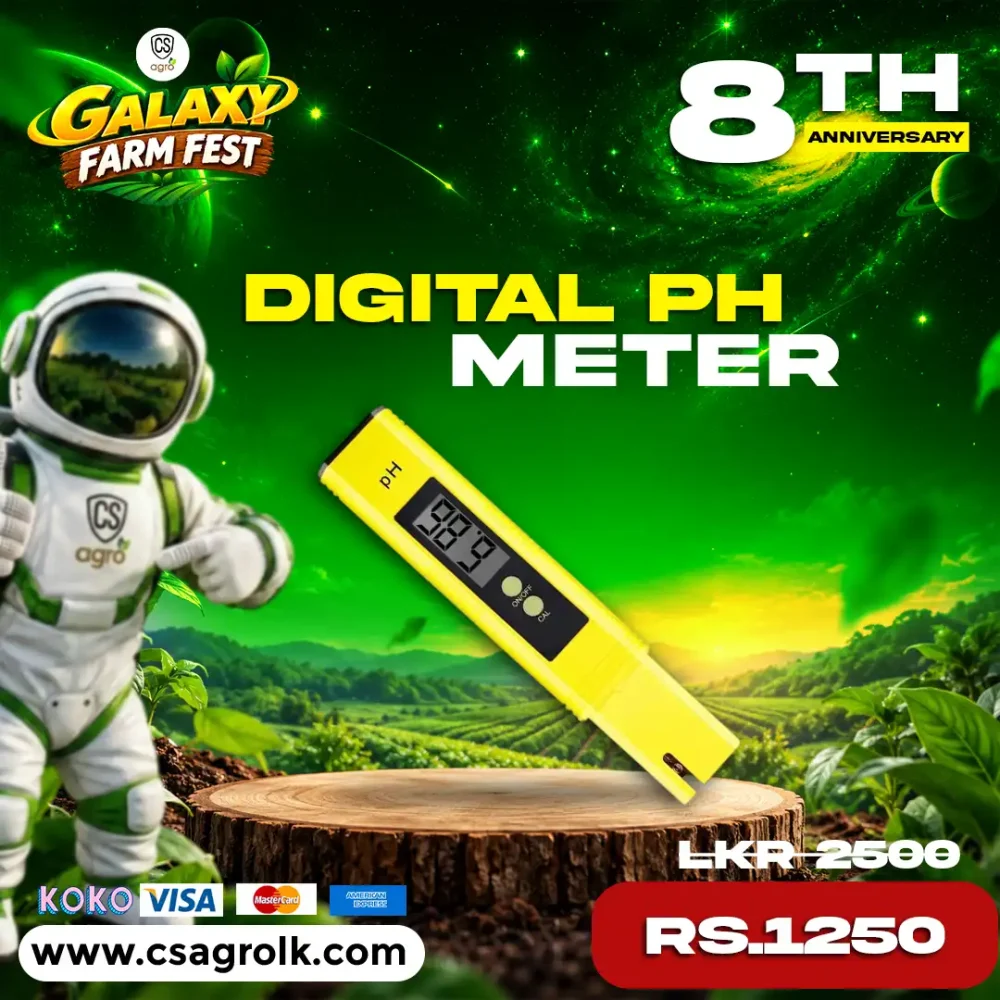 Digital PH Meter for Water Brewing Food with Battery