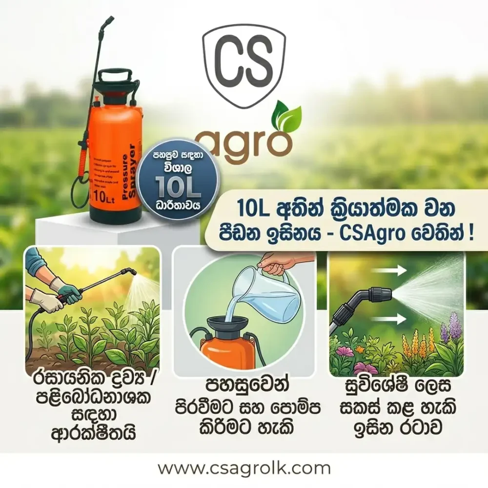 10L Manual Pressure Sprayer