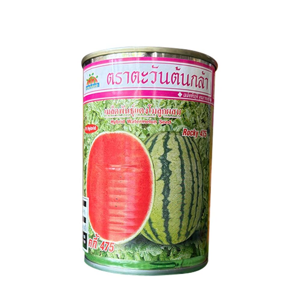 Plantseeds Watermelon Rocky 475 Seeds