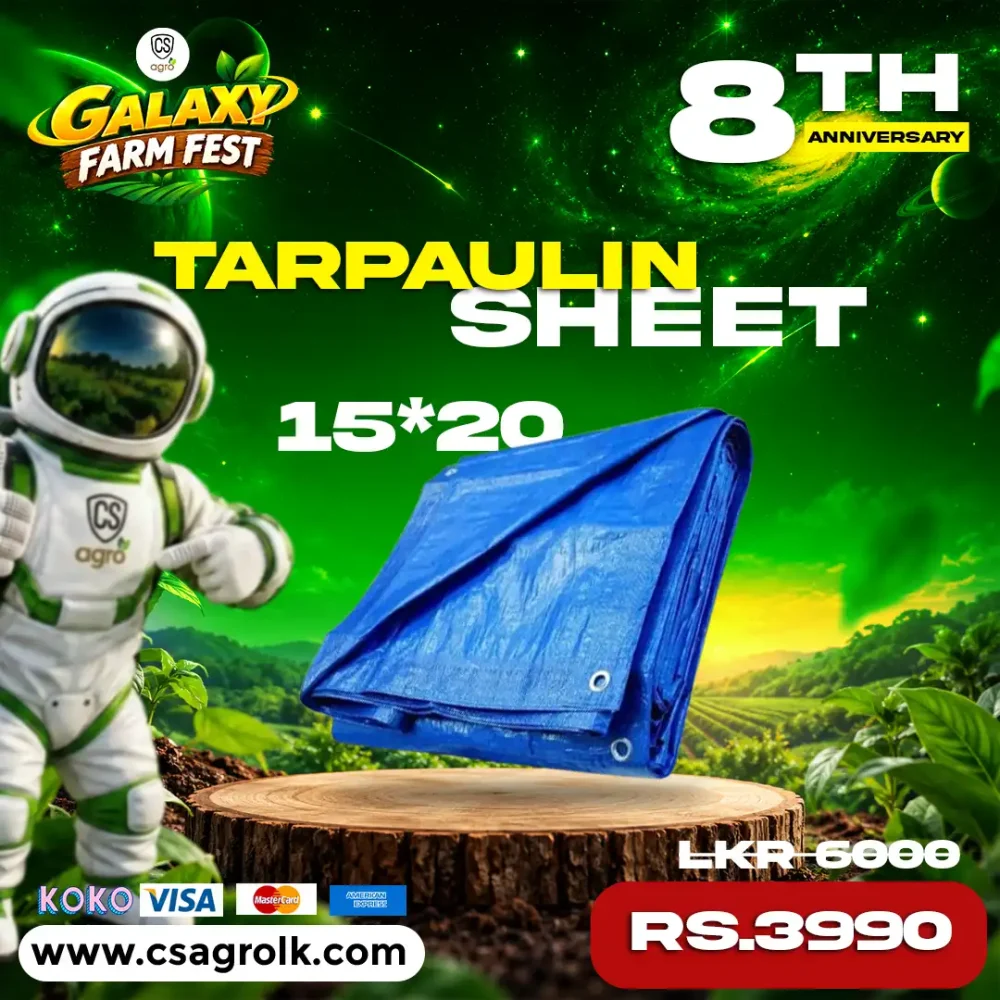 Tarpaulin Sheet Tent Waterproof Sun Blocked