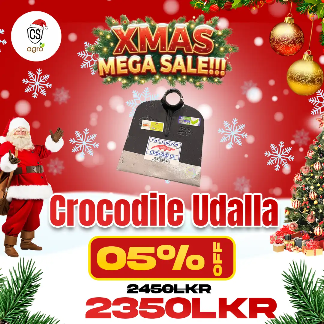 Chillington Crocodile Udalla Kibula Hoe