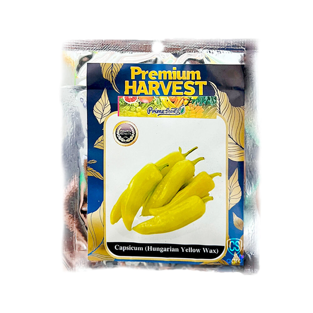 Prime Seeds Capsicum HYW Seeds