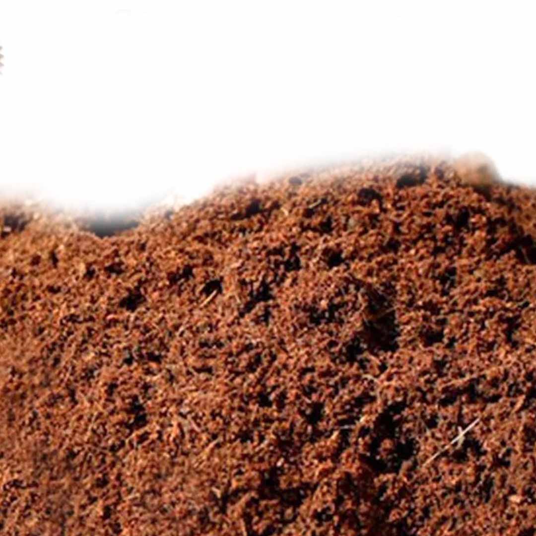 Coco Peat Fertilizer