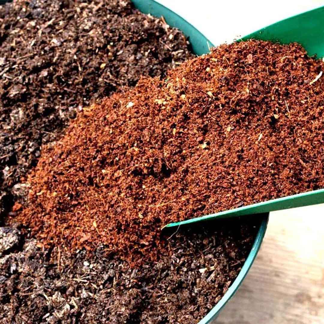 Coco Peat Fertilizer - Image 2