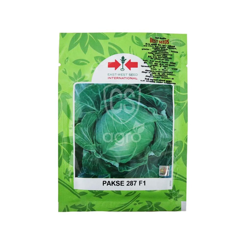 Best Seeds Pakse 287 F1 Cabbage Seeds