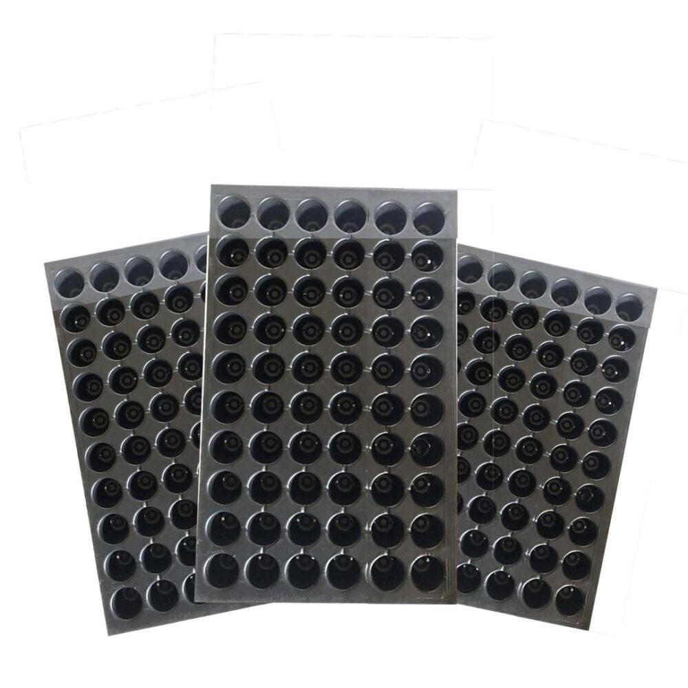 Seedling Tray Holes 60