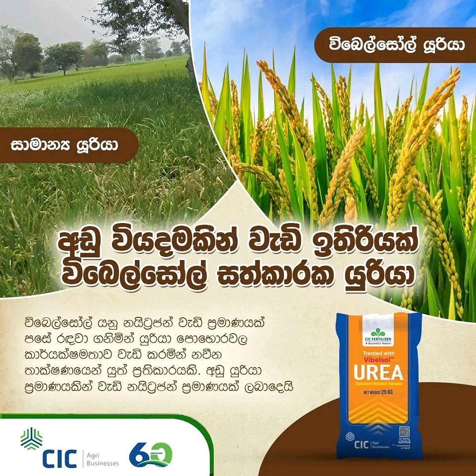 CIC Vibelsol Urea Fertilizer BASF