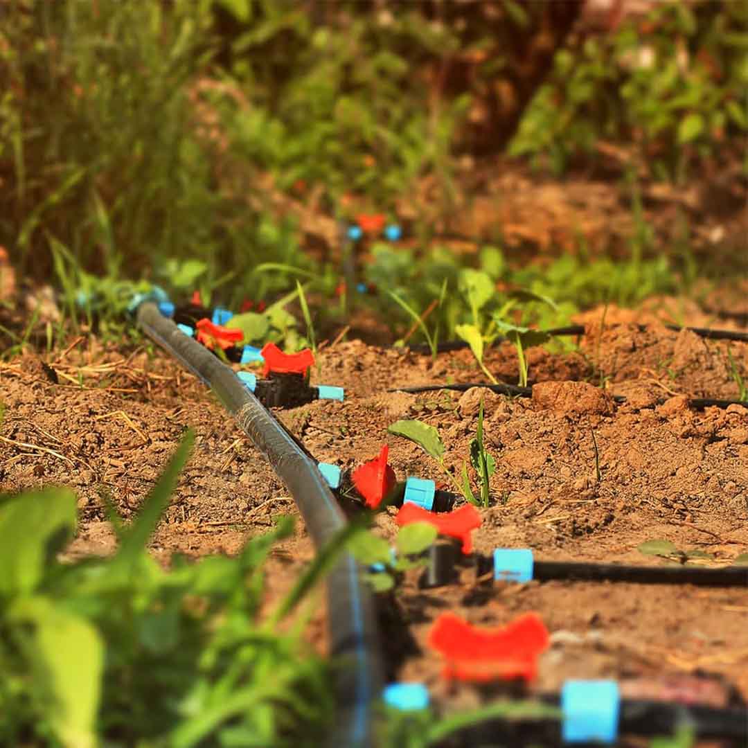 Drip Tape Bush Connectors - Image 3