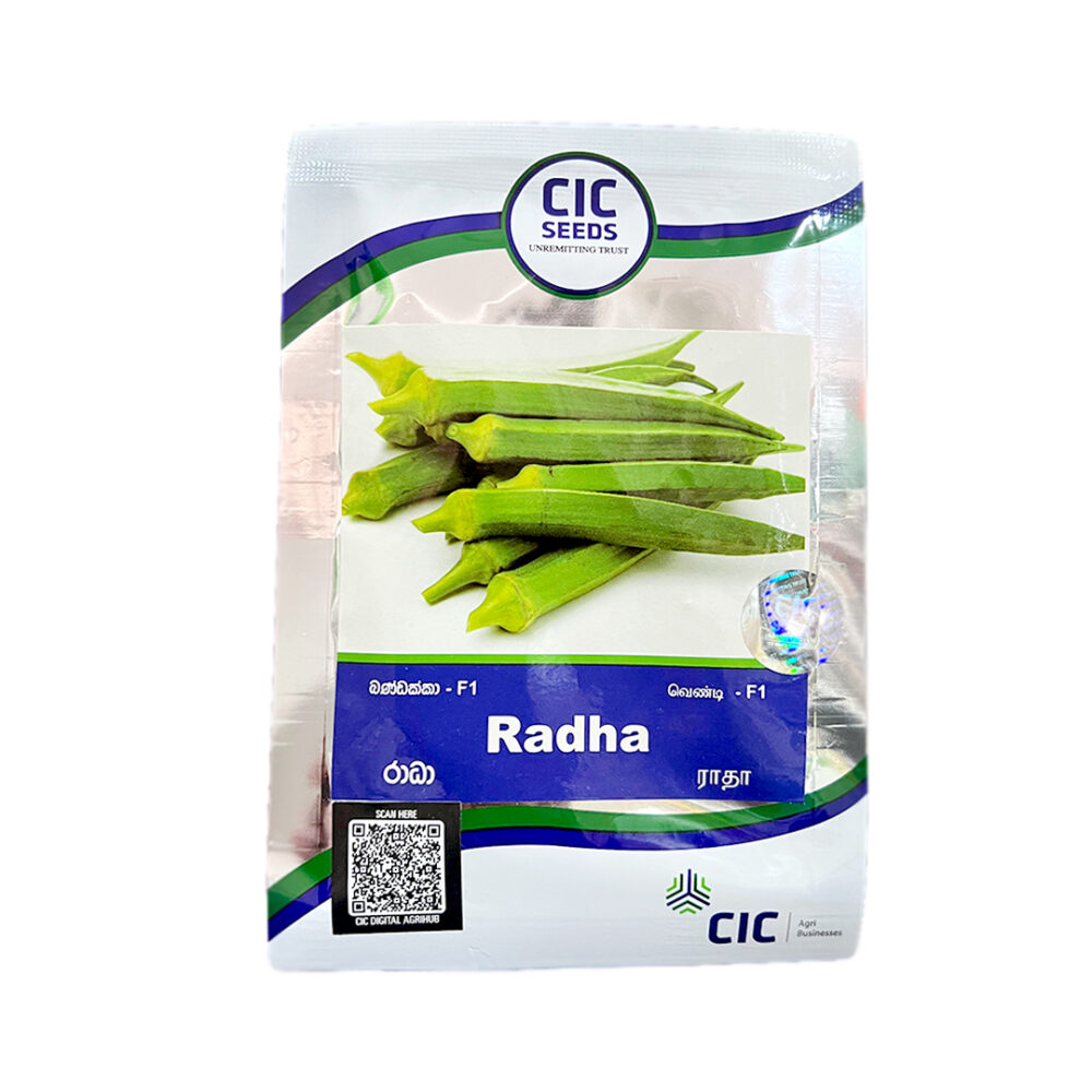 CIC Radha F1 Okra Seeds