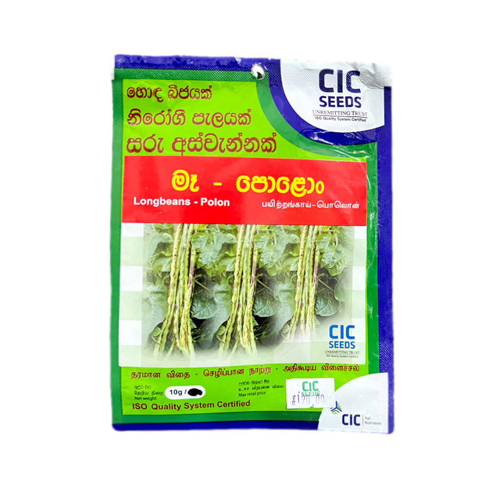 CIC Longbeans - Polon Mae Yard Long Beans