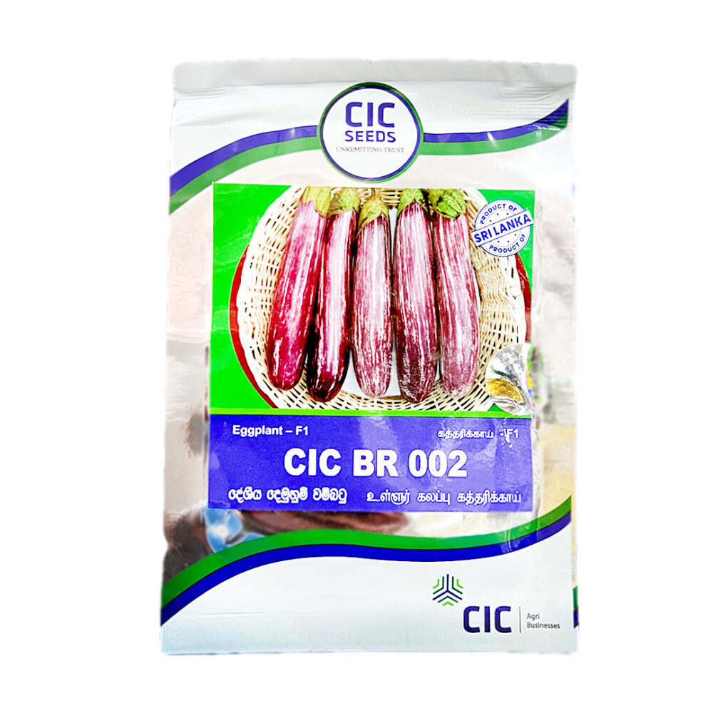 CIC BR 002 F1 Brinjal Seeds