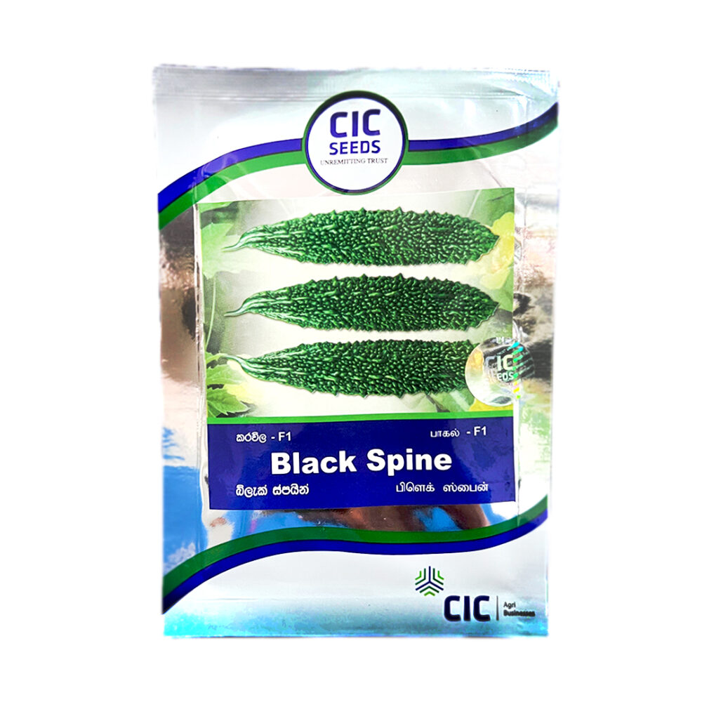 CIC Black Spine F1 Bitter Gourd