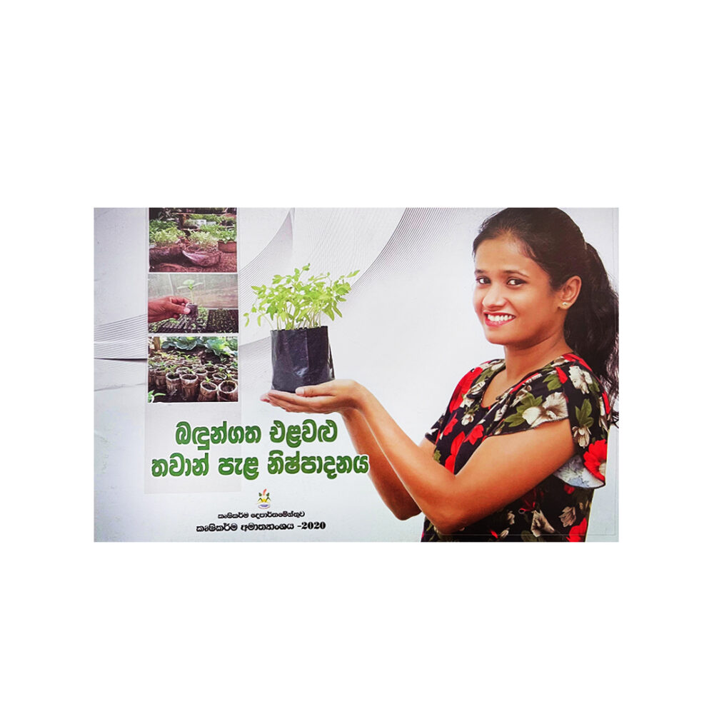 Potted vegetable nursery plant production