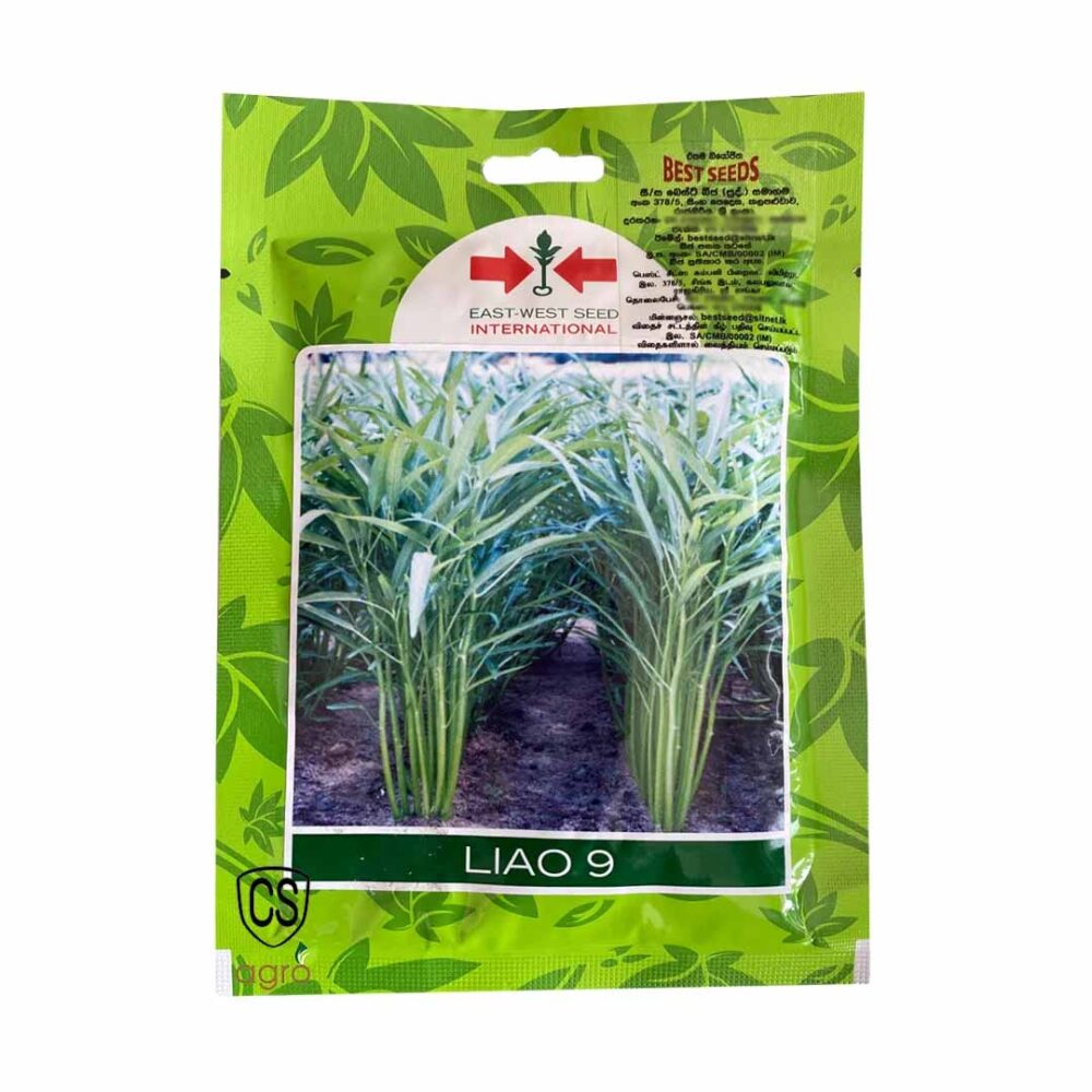 Best Seeds Liao 9 Kangkong Seeds