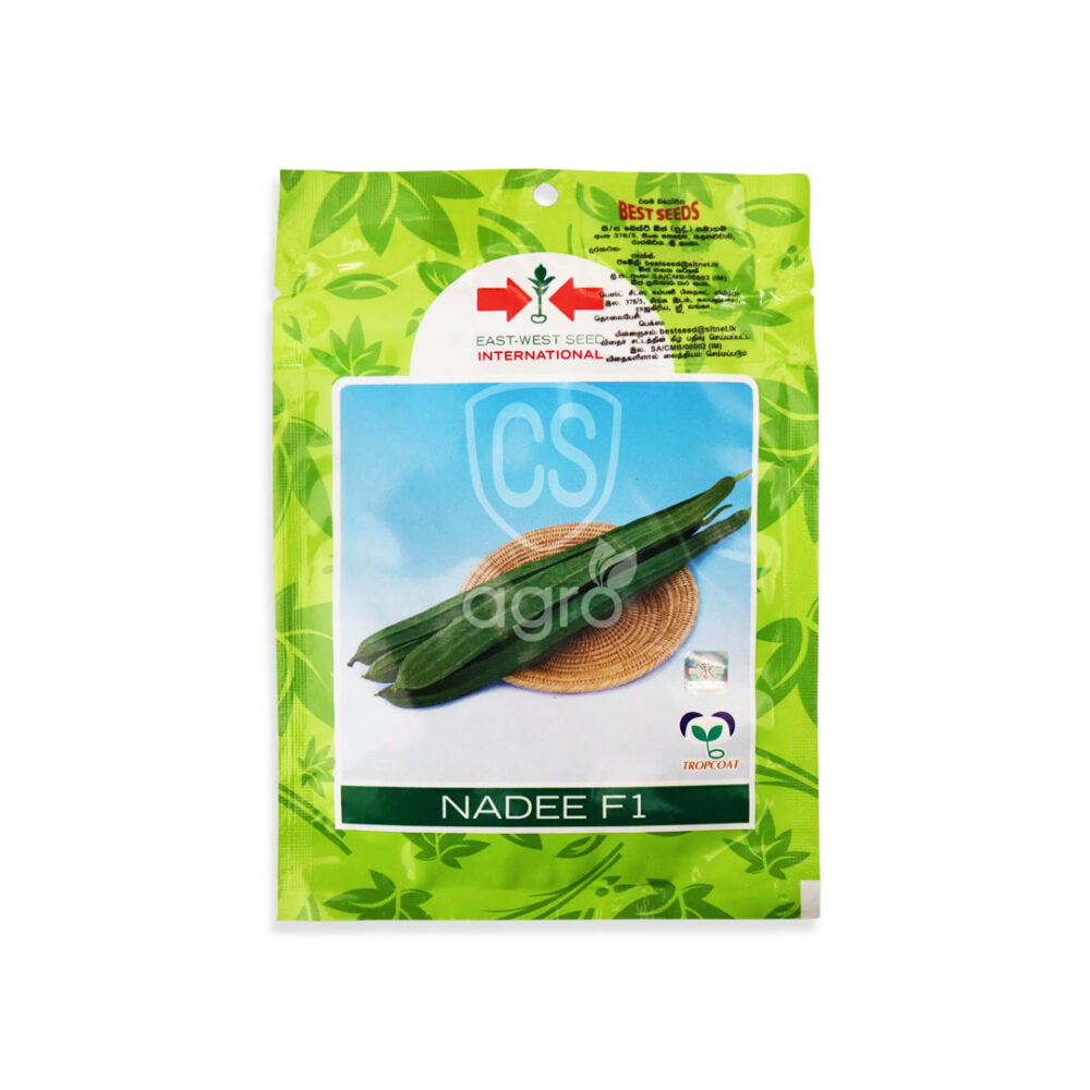 Best Seeds Ridge Gourd Luffa Nadee Seeds