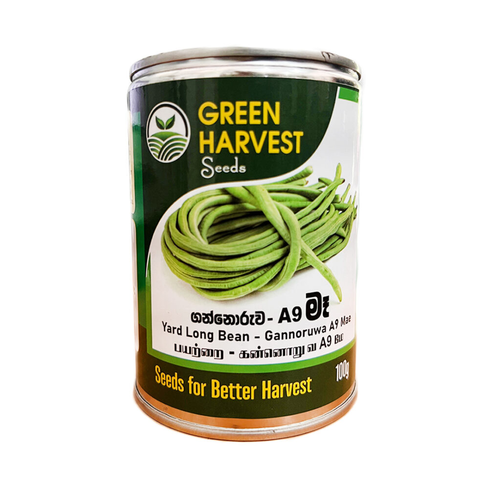 Gannoruwa A9 Mae Green Harvest