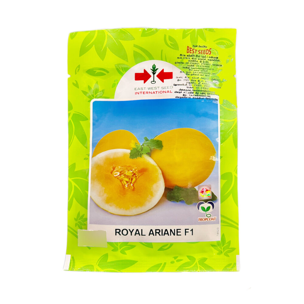 Best Seeds Royal Ariane F1 Melon Cantaloupe