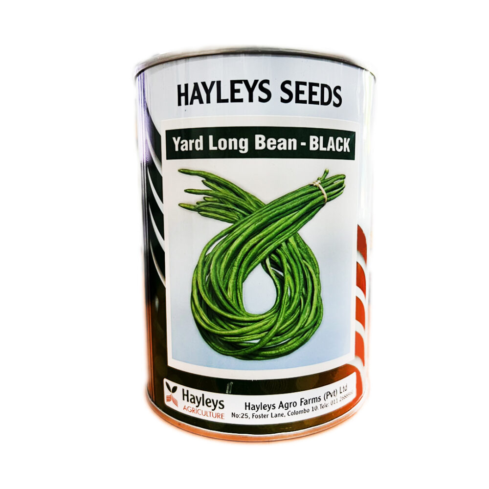 Hayleys Yard Long Bean - Black