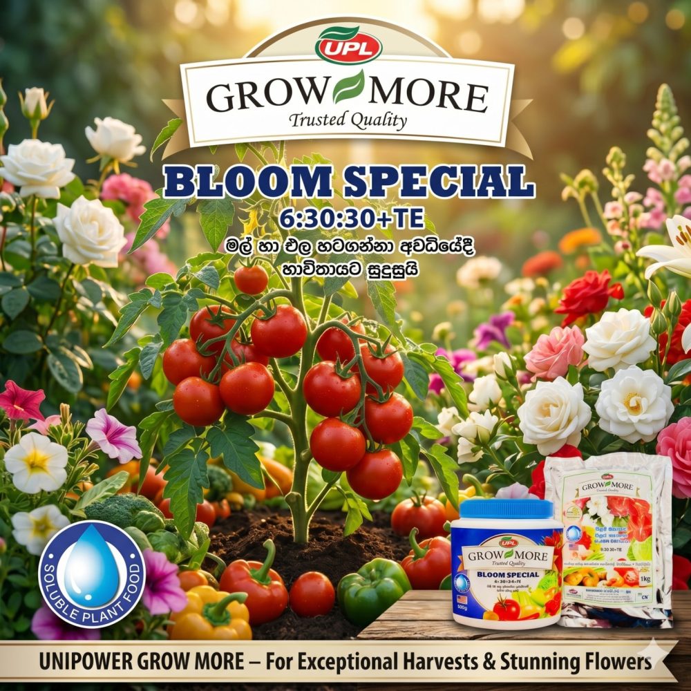 UPL Grow More Bloom Special NPK 6:30:30 Fertilizer
