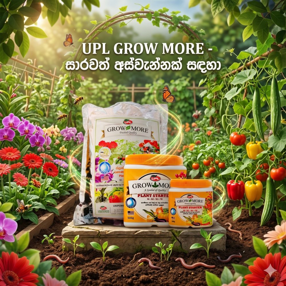 Unipower Grow More Plant Starter Fertilizer 10:52:10 NPK