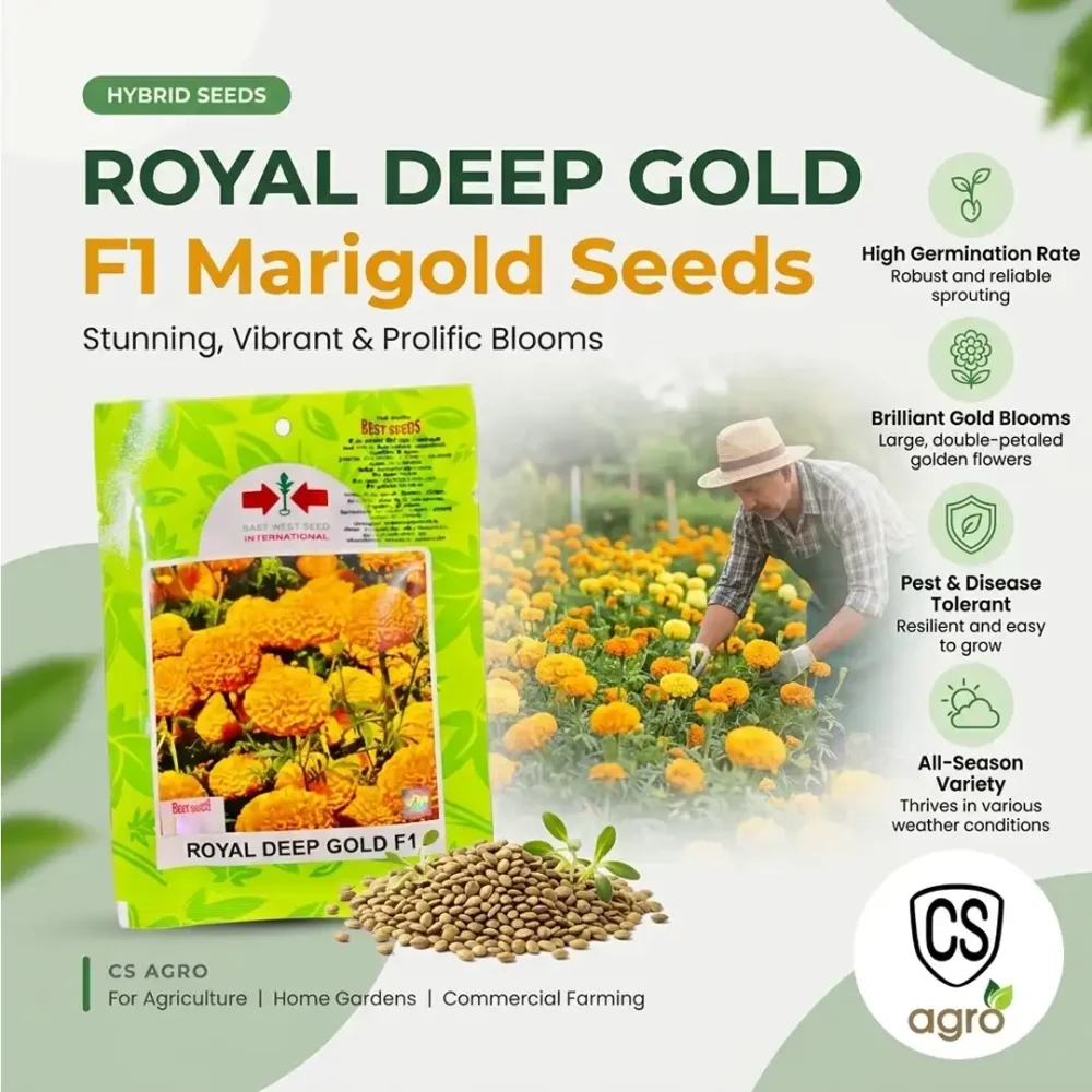 Best Seeds Royal Deep Gold F1 Hybrid Marigold Seeds