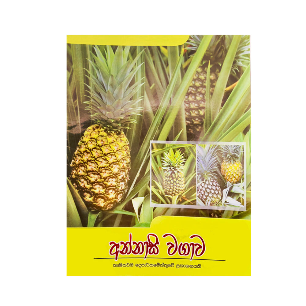 Pineapple cultivation