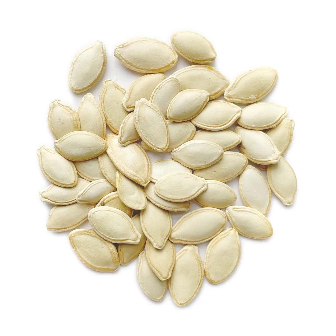 Hybrid Zucchini Summer Squash Jewel Seeds - Image 2