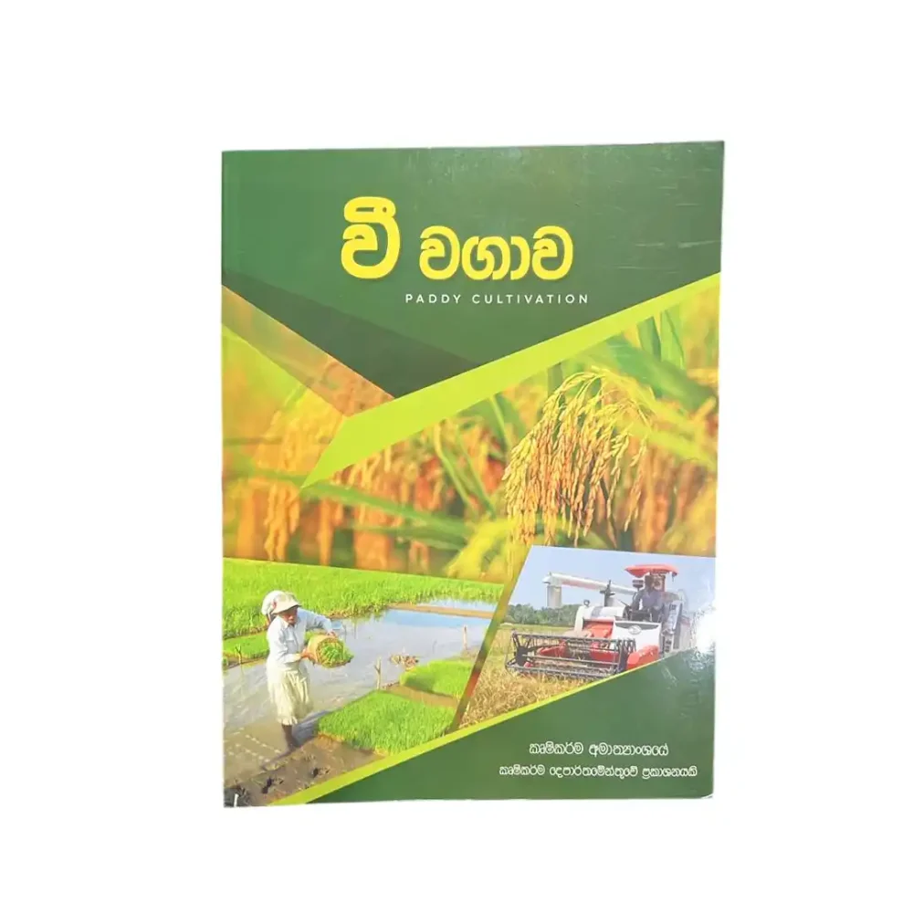 Paddy Cultivation